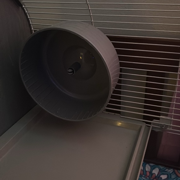 Animal cage (small creatures) hedgehogs, hamsters guinea pigs etc. Must pick up! - Picture 5 of 8